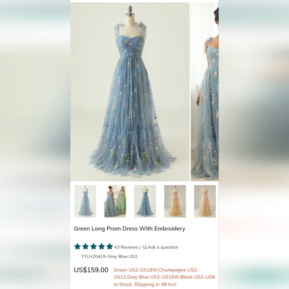 Baby Blue Long Prom Dress With Embroidery - Picture 4 of 6